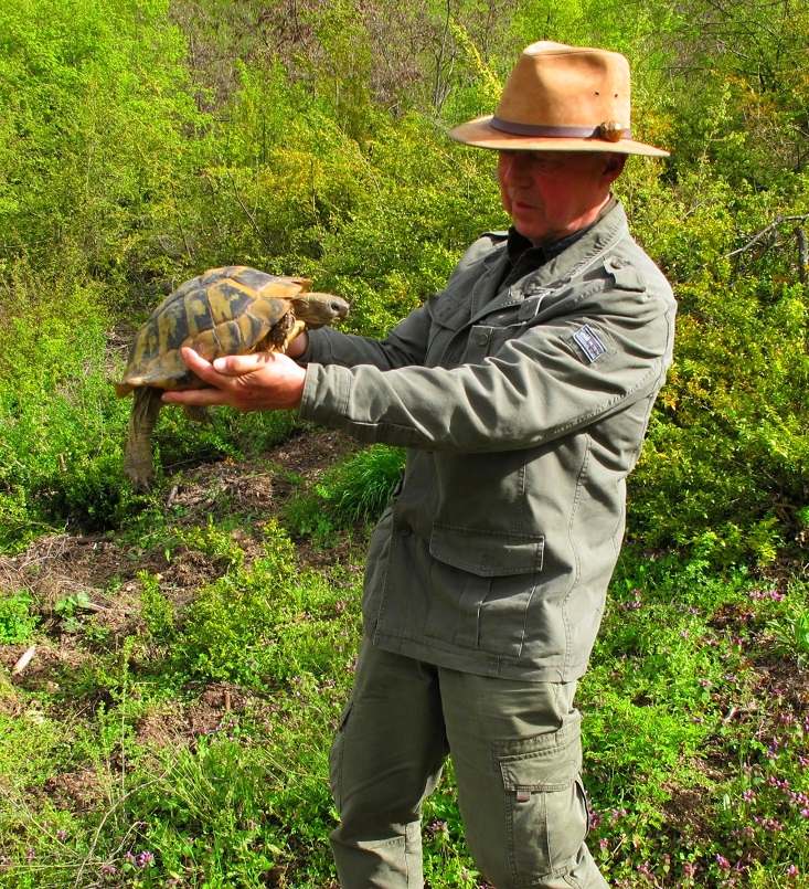 Otto med en landskildpadde i hjemstavnsbiotopen